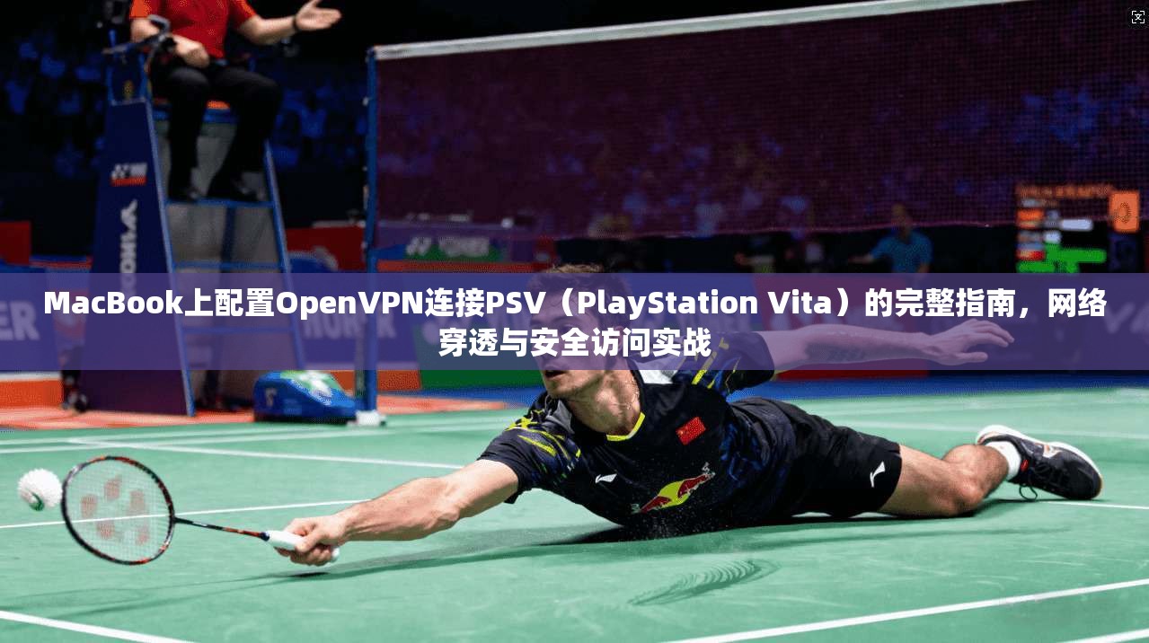MacBook上配置OpenVPN连接PSV（PlayStation Vita）的完整指南，网络穿透与安全访问实战  第1张