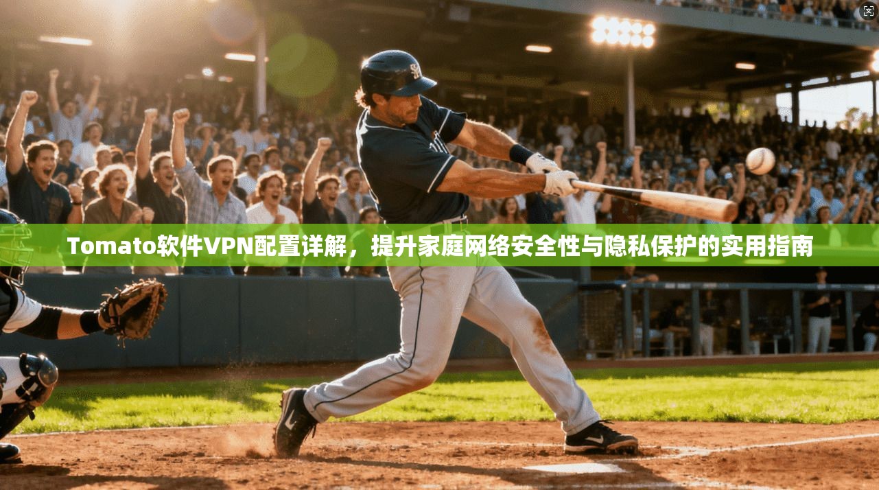 Tomato软件VPN配置详解，提升家庭网络安全性与隐私保护的实用指南  第1张