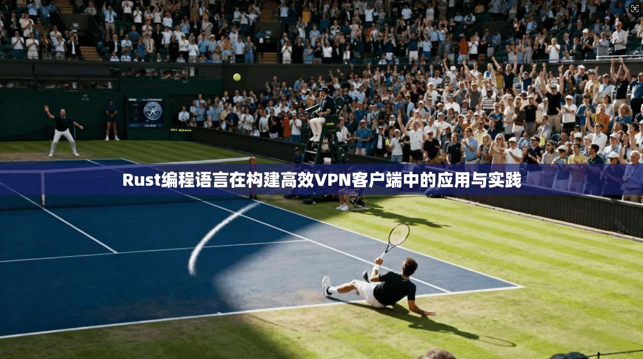 Rust编程语言在构建高效VPN客户端中的应用与实践  第1张
