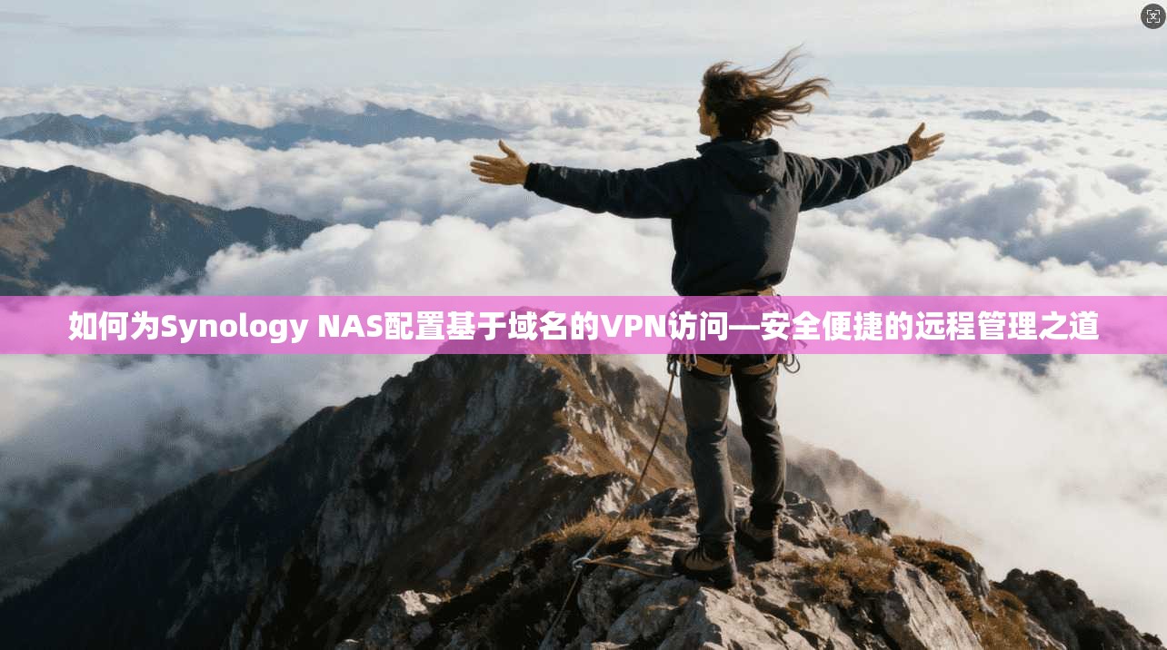 如何为Synology NAS配置基于域名的VPN访问—安全便捷的远程管理之道  第1张