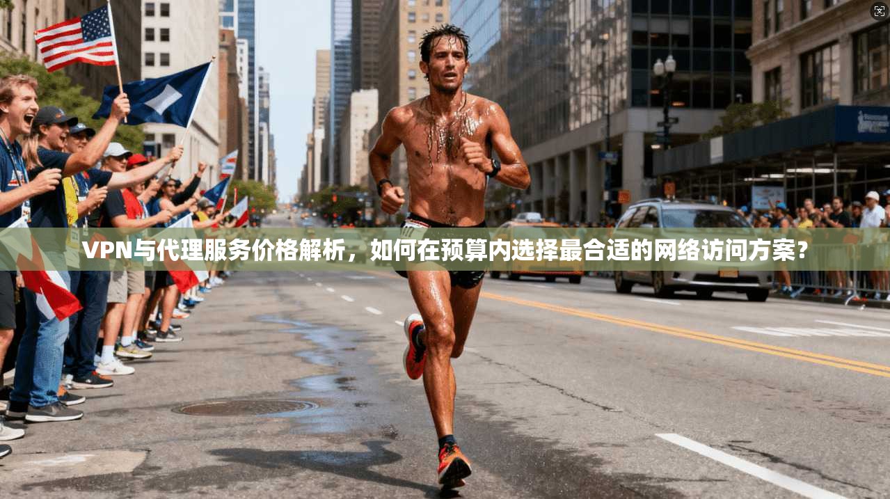 VPN与代理服务价格解析，如何在预算内选择最合适的网络访问方案？  第1张