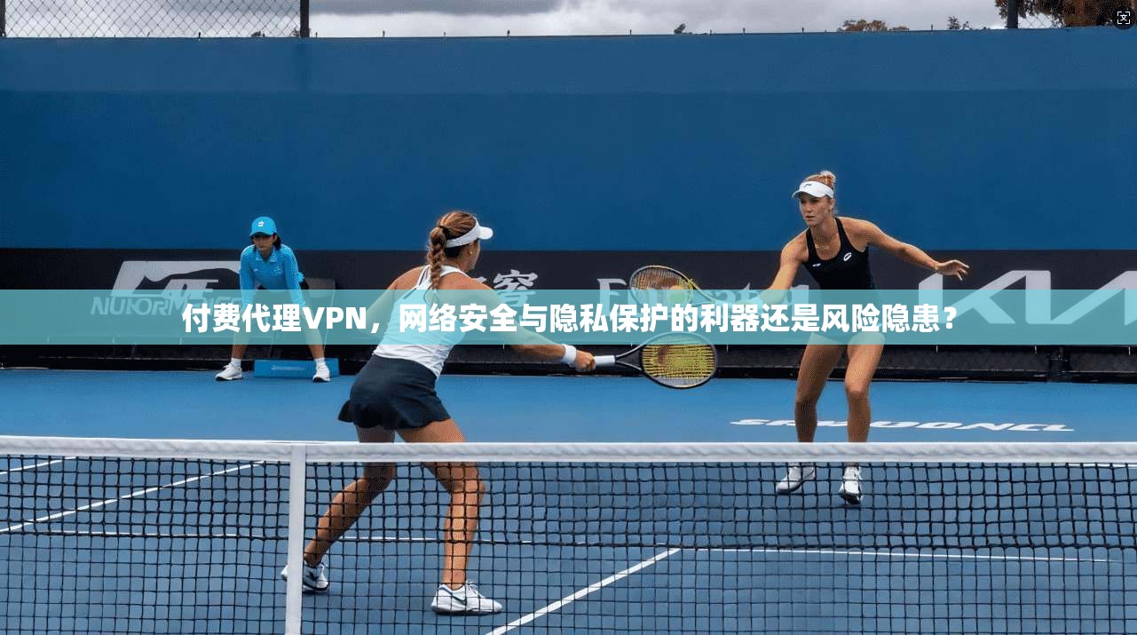 付费代理VPN，网络安全与隐私保护的利器还是风险隐患？  第1张