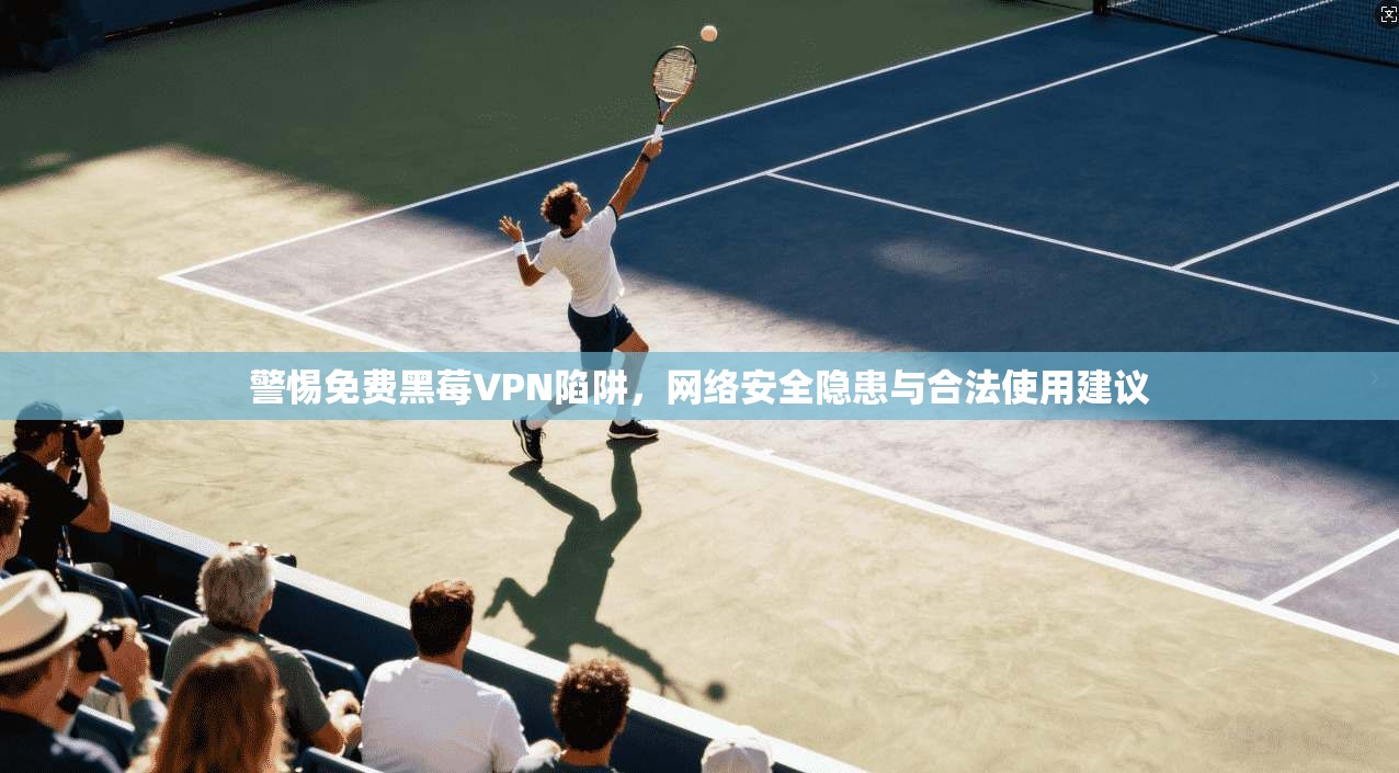 警惕免费黑莓VPN陷阱，网络安全隐患与合法使用建议  第1张