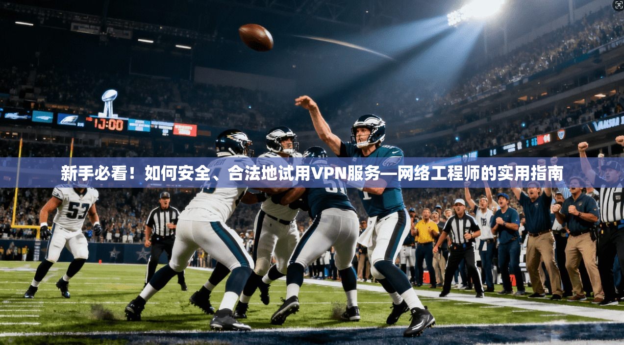 新手必看！如何安全、合法地试用VPN服务—网络工程师的实用指南  第1张