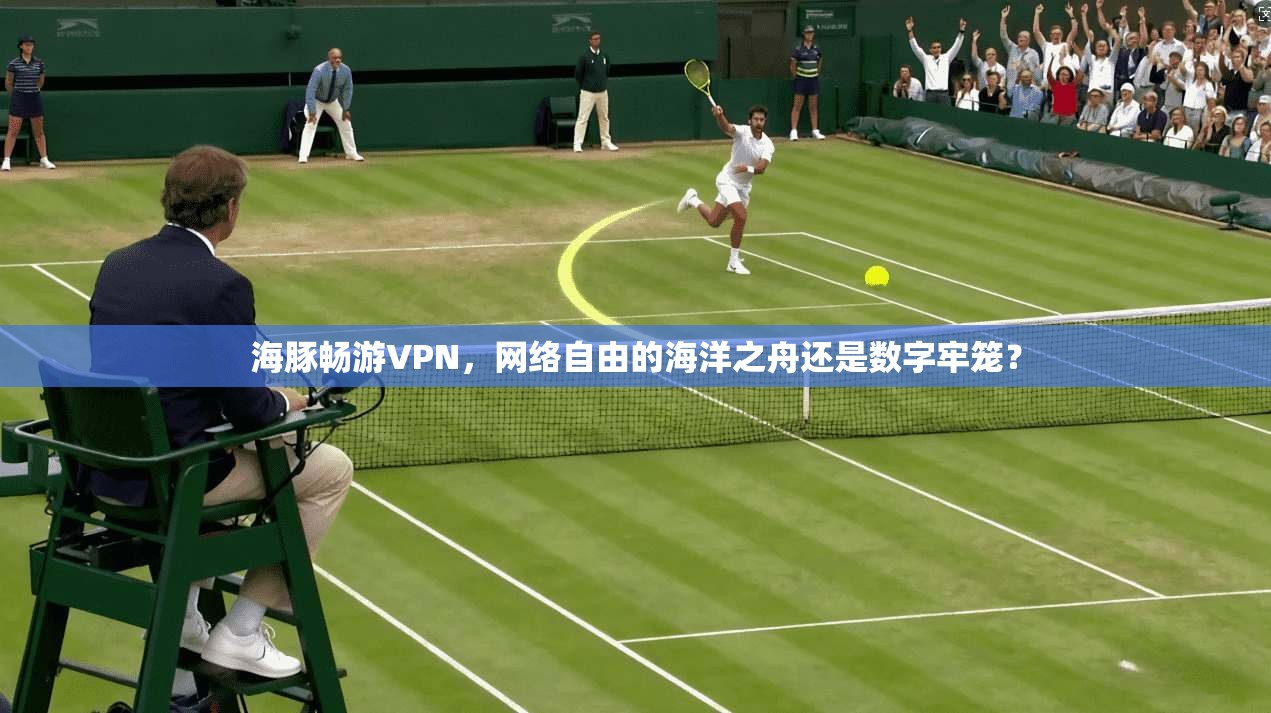 海豚畅游VPN，网络自由的海洋之舟还是数字牢笼？  第1张