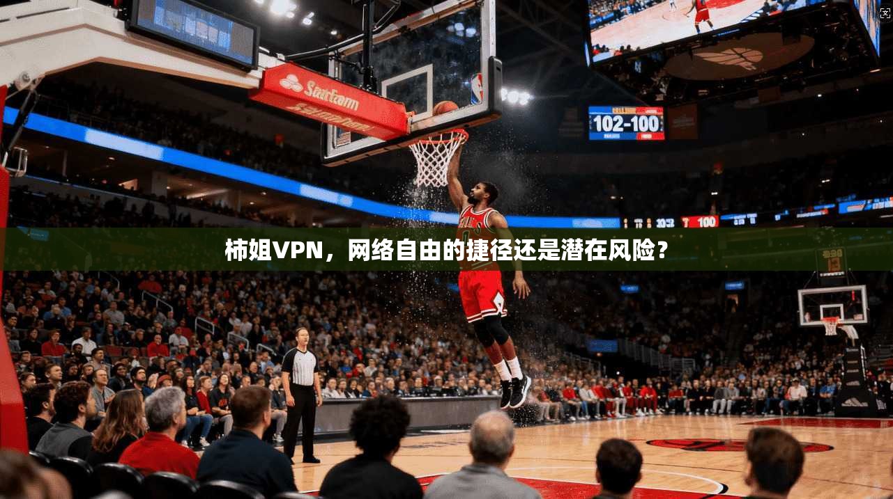 柿姐VPN，网络自由的捷径还是潜在风险？  第1张