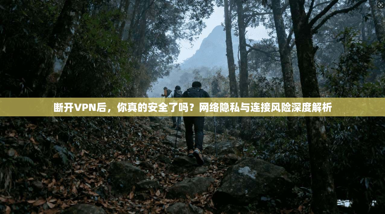 断开VPN后，你真的安全了吗？网络隐私与连接风险深度解析  第1张