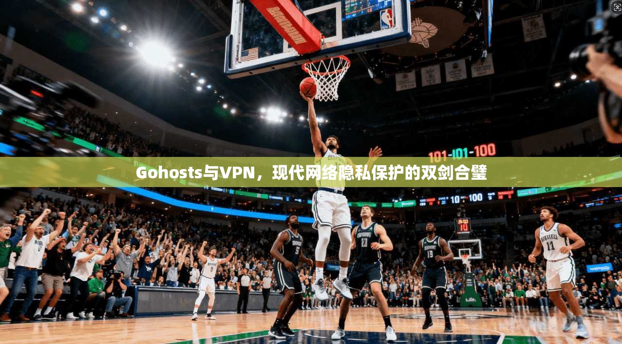 Gohosts与VPN，现代网络隐私保护的双剑合璧  第1张