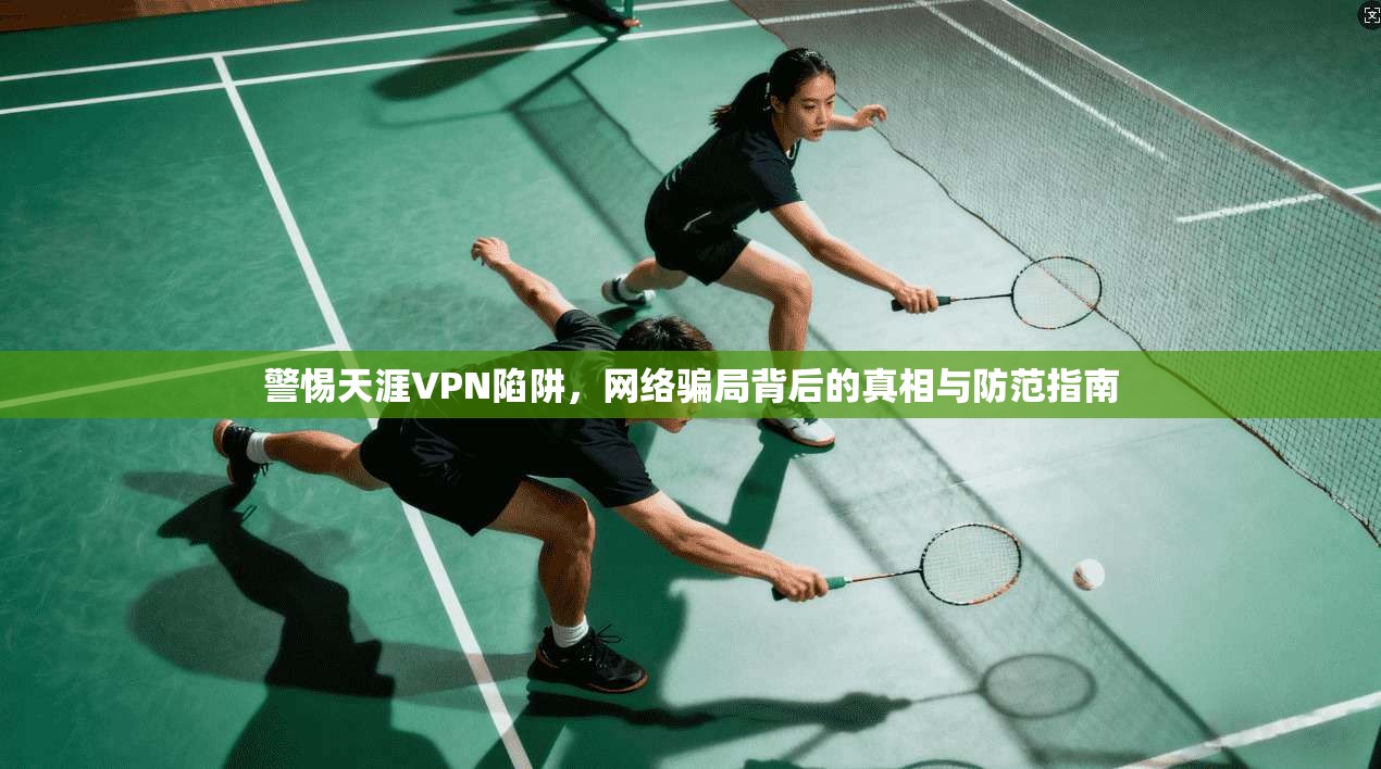 警惕天涯VPN陷阱，网络骗局背后的真相与防范指南  第1张