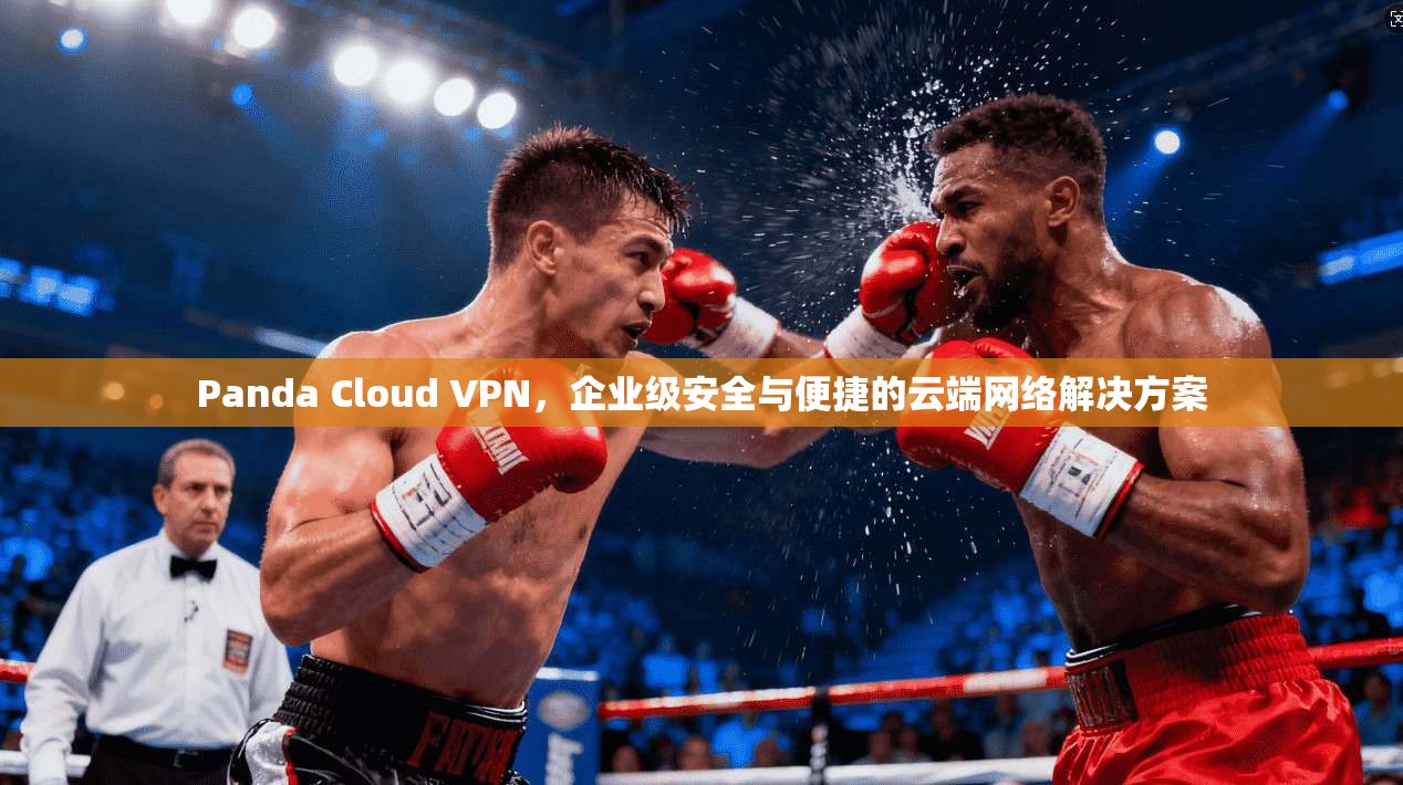 Panda Cloud VPN，企业级安全与便捷的云端网络解决方案  第1张