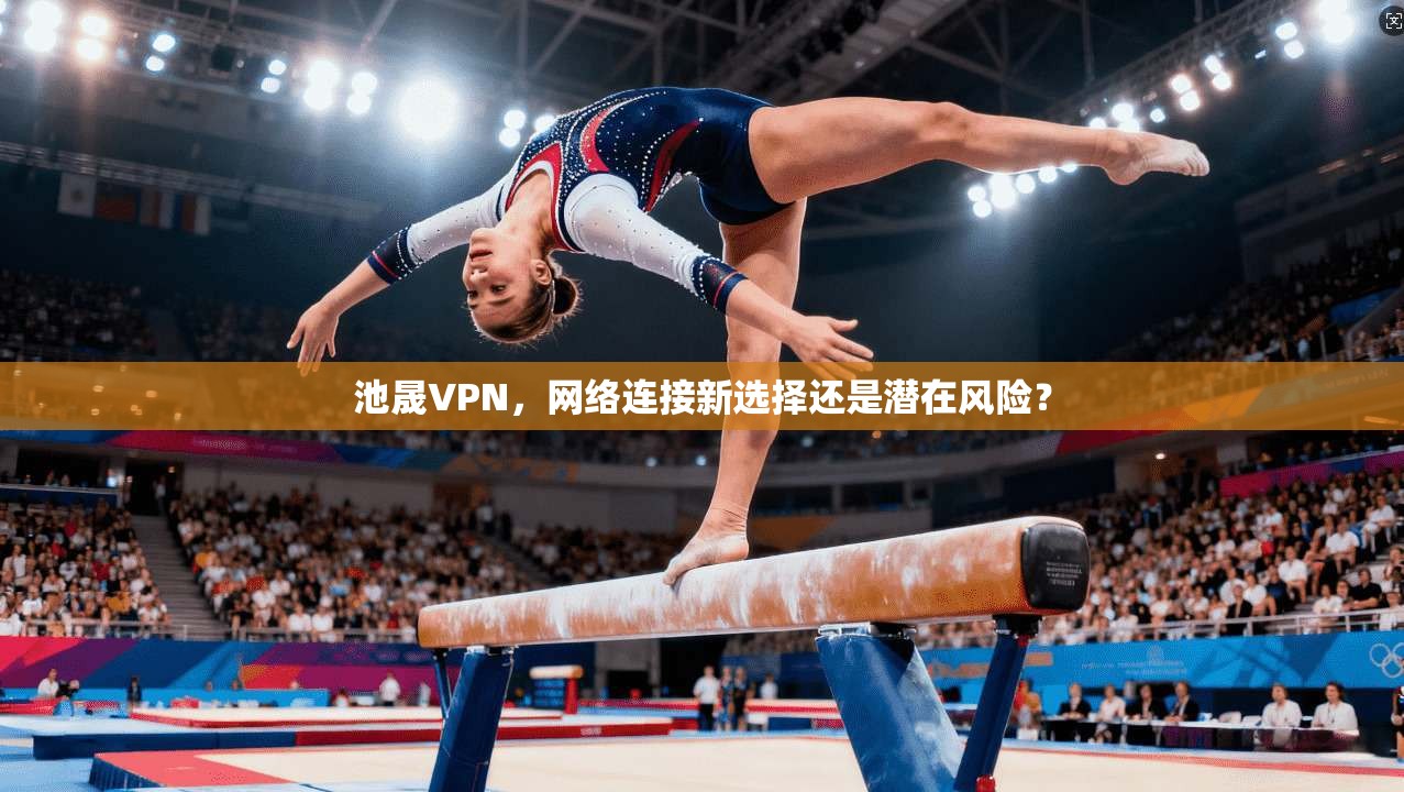 池晟VPN，网络连接新选择还是潜在风险？  第1张