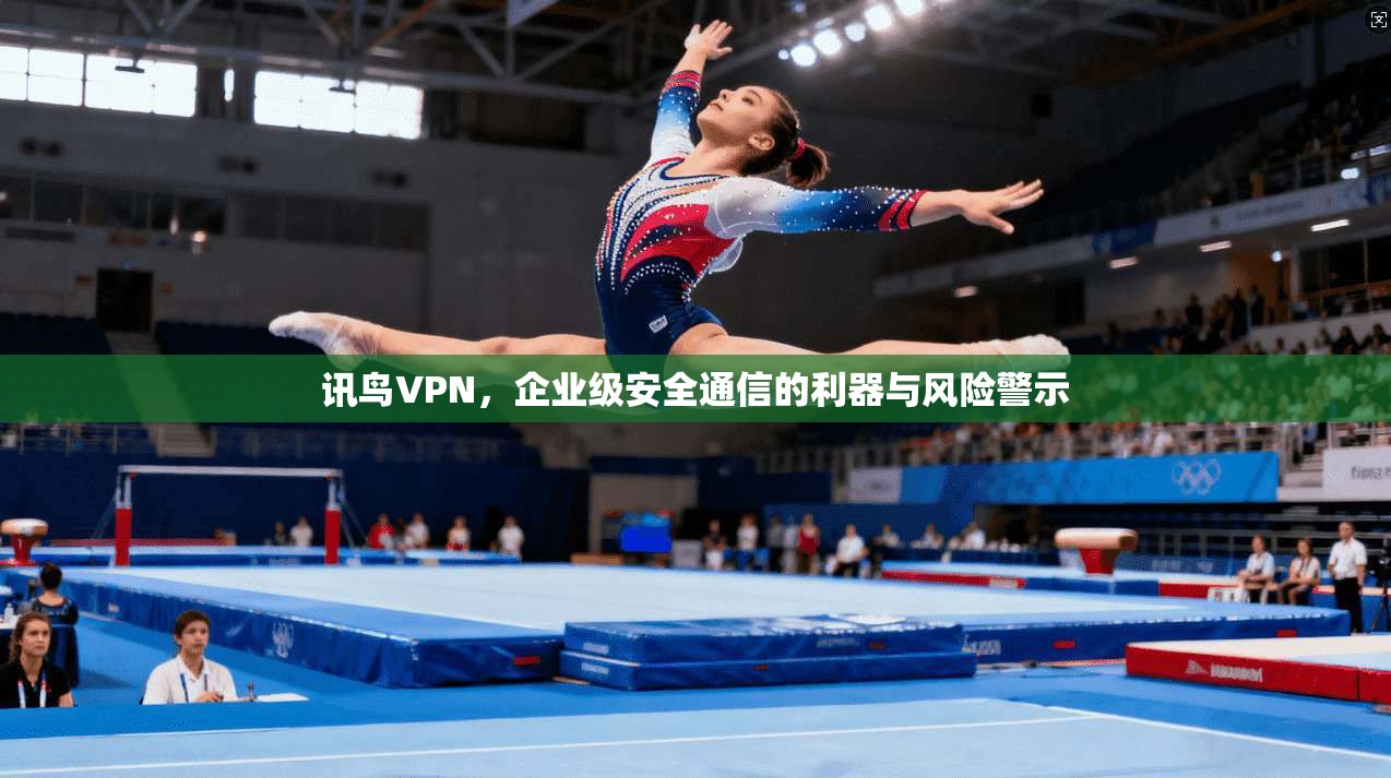 讯鸟VPN，企业级安全通信的利器与风险警示  第1张