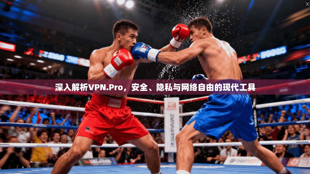 深入解析VPN.Pro，安全、隐私与网络自由的现代工具  第1张