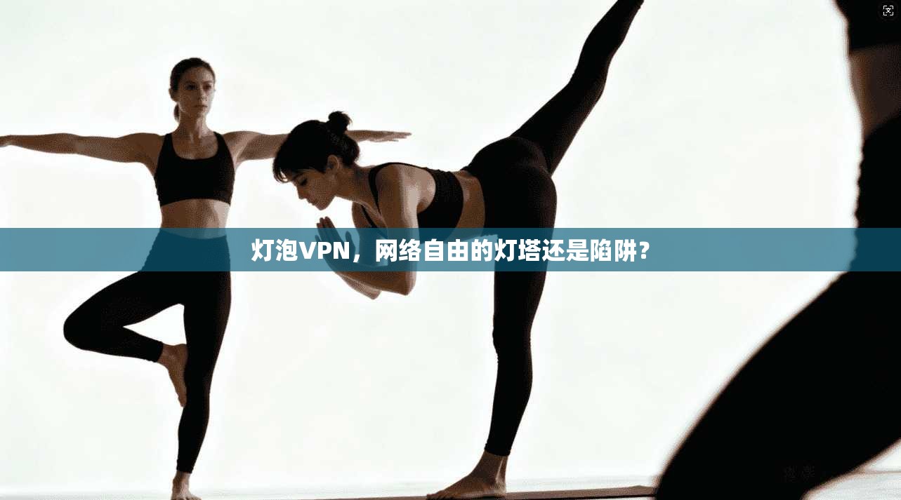 灯泡VPN，网络自由的灯塔还是陷阱？  第1张