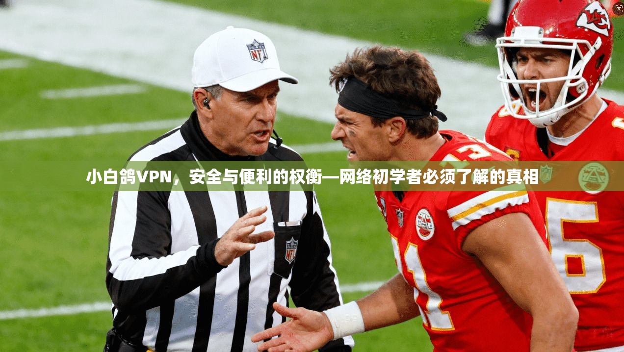 小白鸽VPN，安全与便利的权衡—网络初学者必须了解的真相  第1张