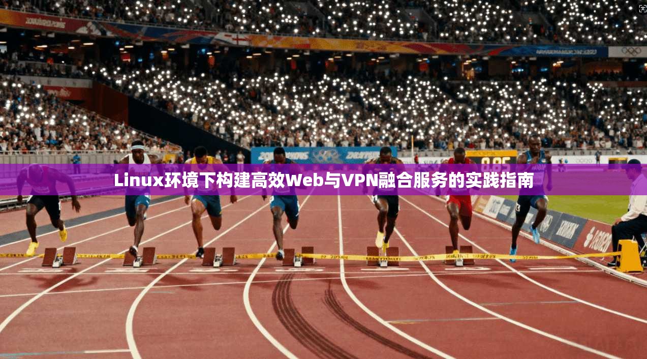 Linux环境下构建高效Web与VPN融合服务的实践指南  第1张
