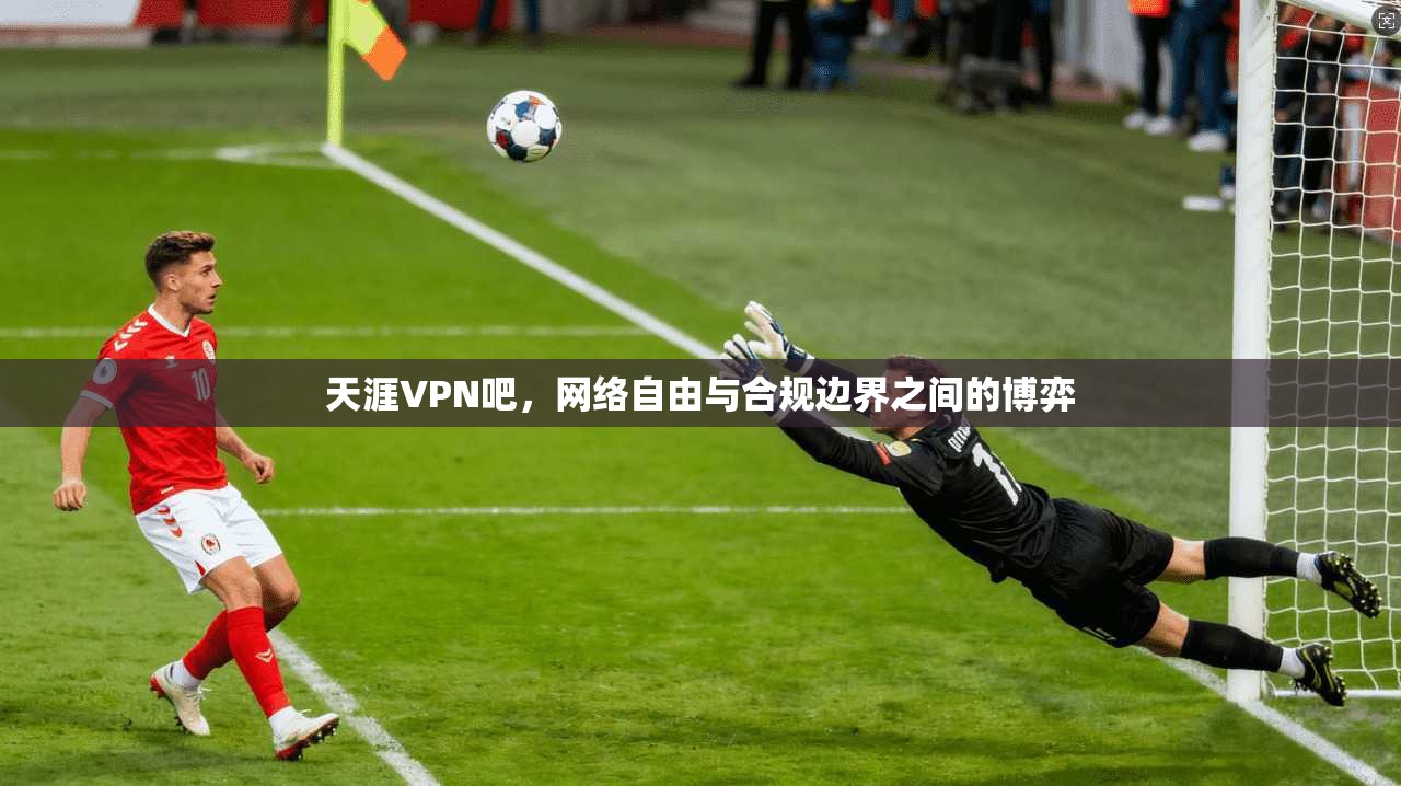 天涯VPN吧，网络自由与合规边界之间的博弈  第1张