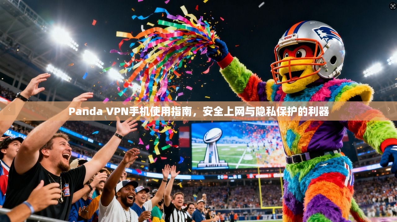 Panda VPN手机使用指南，安全上网与隐私保护的利器  第1张