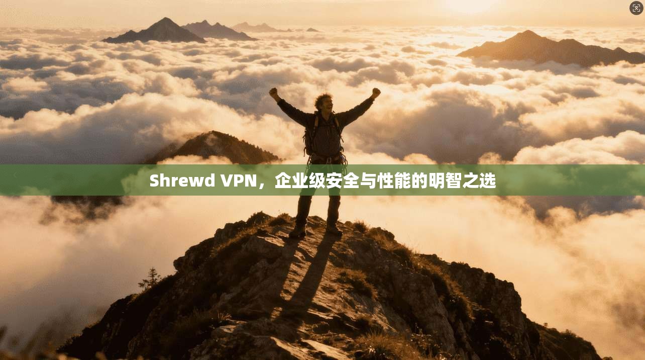 Shrewd VPN，企业级安全与性能的明智之选  第1张