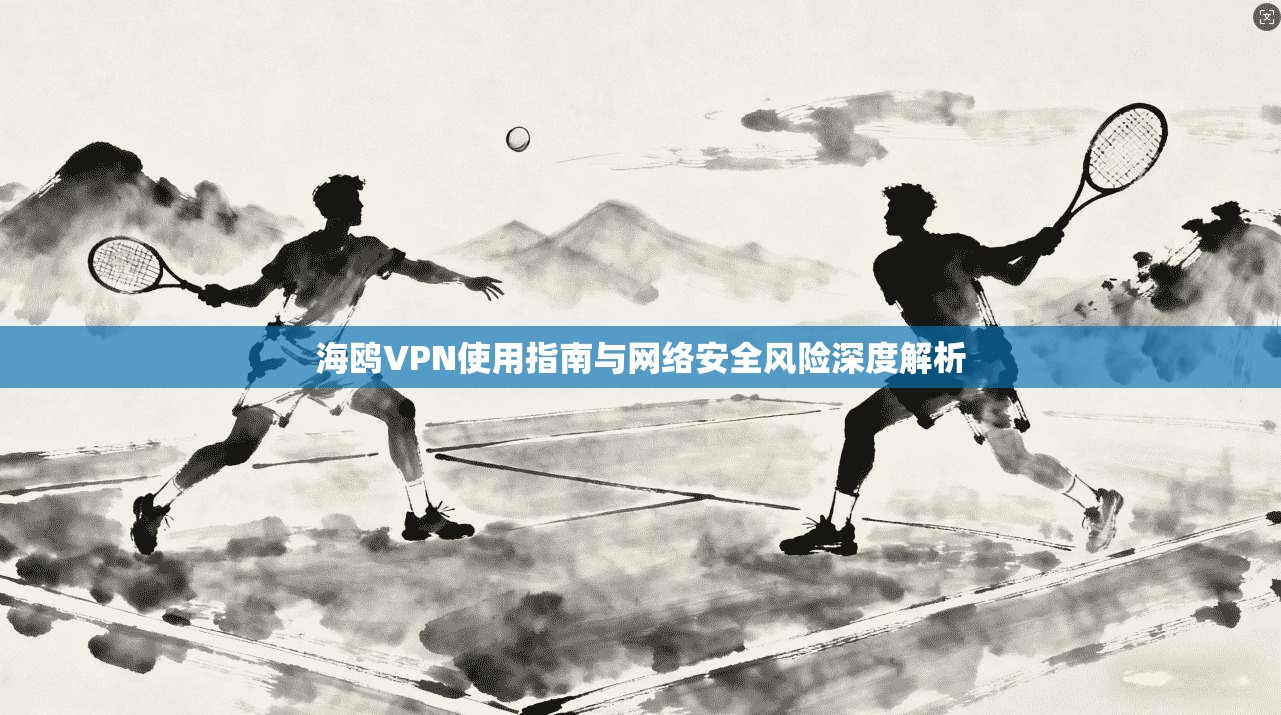海鸥VPN使用指南与网络安全风险深度解析  第1张