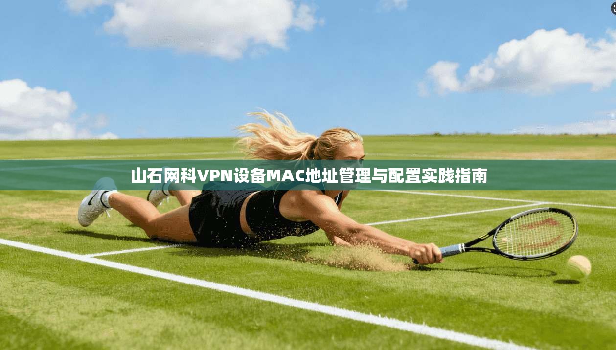 山石网科VPN设备MAC地址管理与配置实践指南  第1张