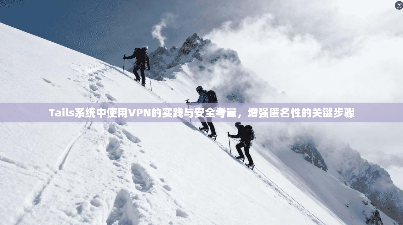 Tails系统中使用VPN的实践与安全考量，增强匿名性的关键步骤  第1张