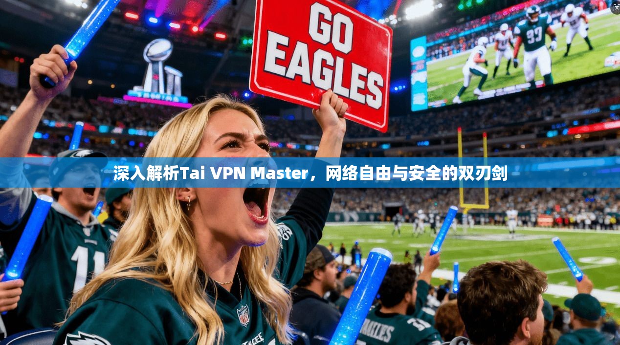 深入解析Tai VPN Master，网络自由与安全的双刃剑  第1张