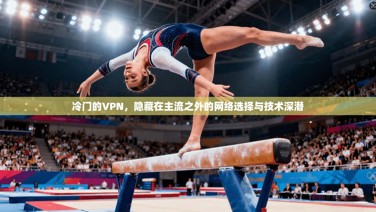 冷门的VPN，隐藏在主流之外的网络选择与技术深潜  第1张