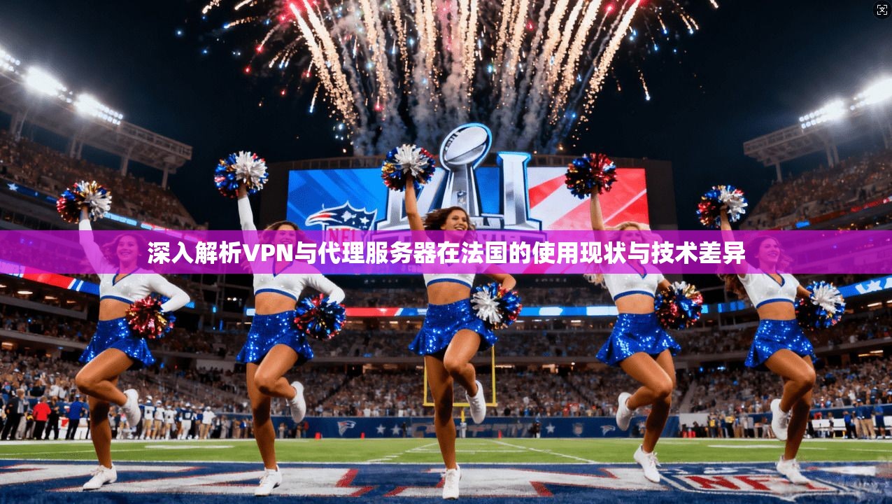 深入解析VPN与代理服务器在法国的使用现状与技术差异  第1张