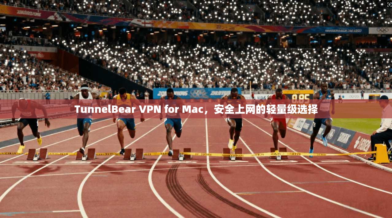 TunnelBear VPN for Mac，安全上网的轻量级选择  第1张