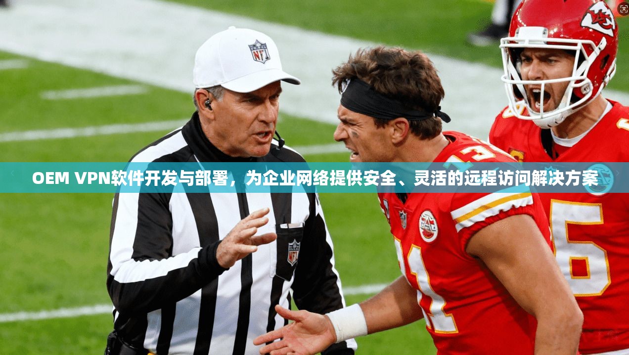 OEM VPN软件开发与部署，为企业网络提供安全、灵活的远程访问解决方案  第1张