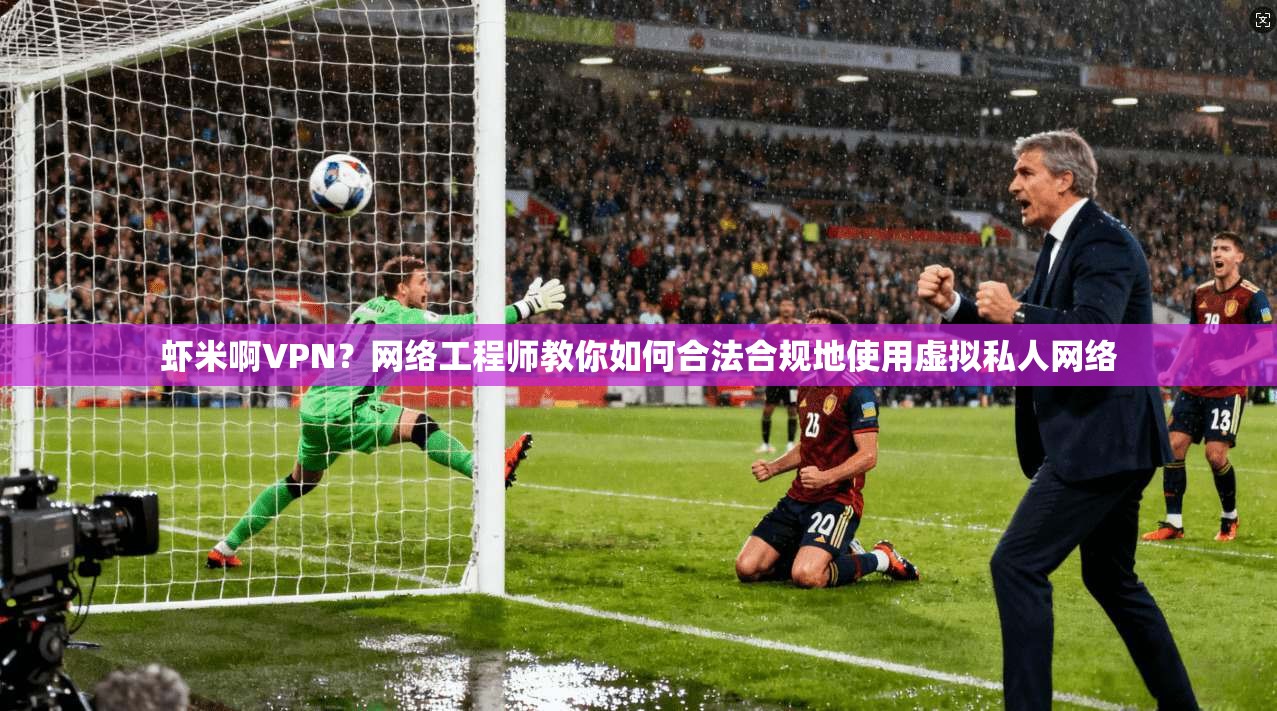 虾米啊VPN？网络工程师教你如何合法合规地使用虚拟私人网络  第1张