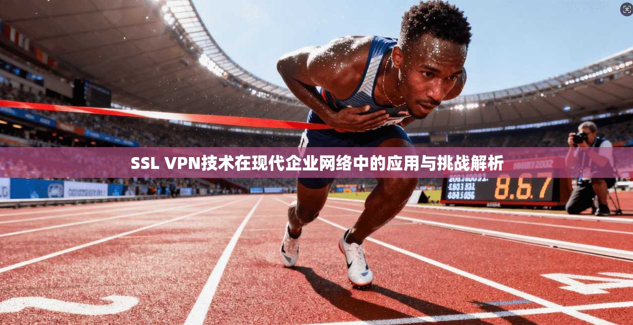 SSL VPN技术在现代企业网络中的应用与挑战解析  第1张