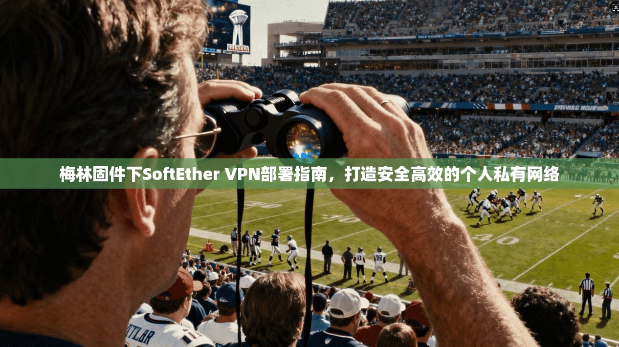 梅林固件下SoftEther VPN部署指南，打造安全高效的个人私有网络  第1张