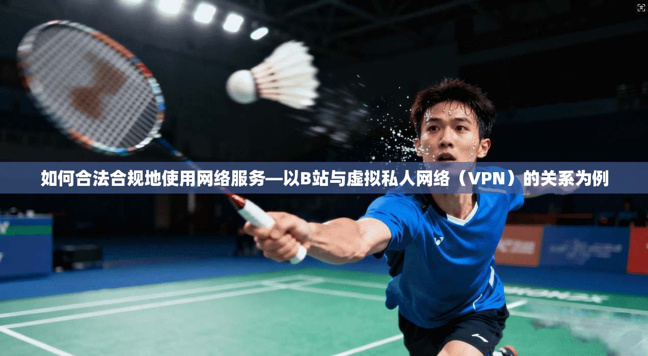 如何合法合规地使用网络服务—以B站与虚拟私人网络（VPN）的关系为例  第1张