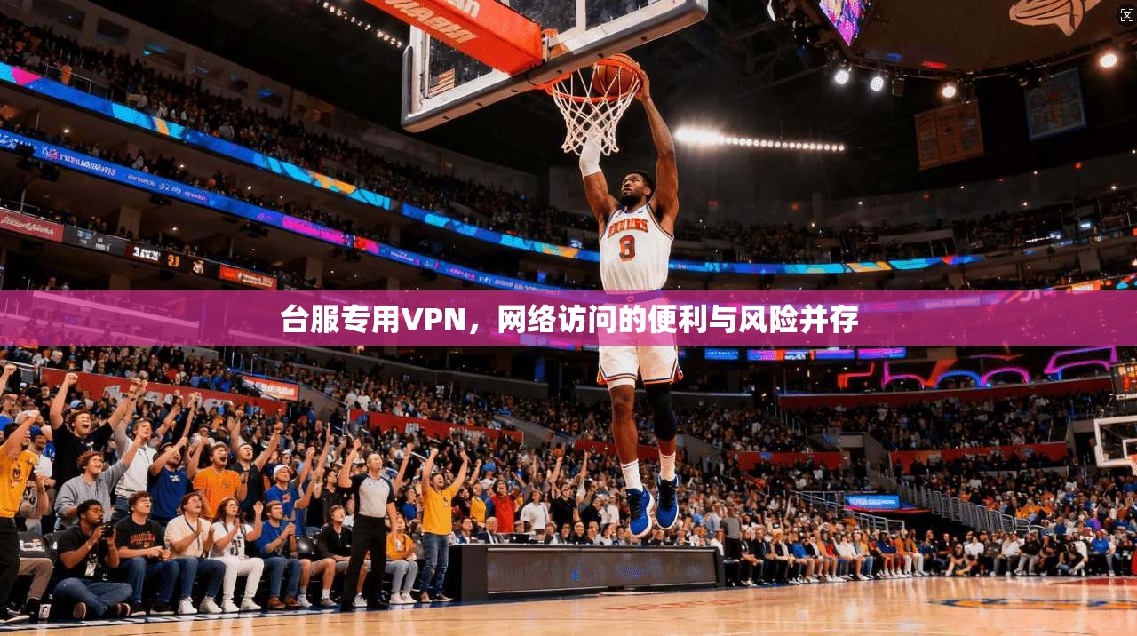 台服专用VPN，网络访问的便利与风险并存  第1张