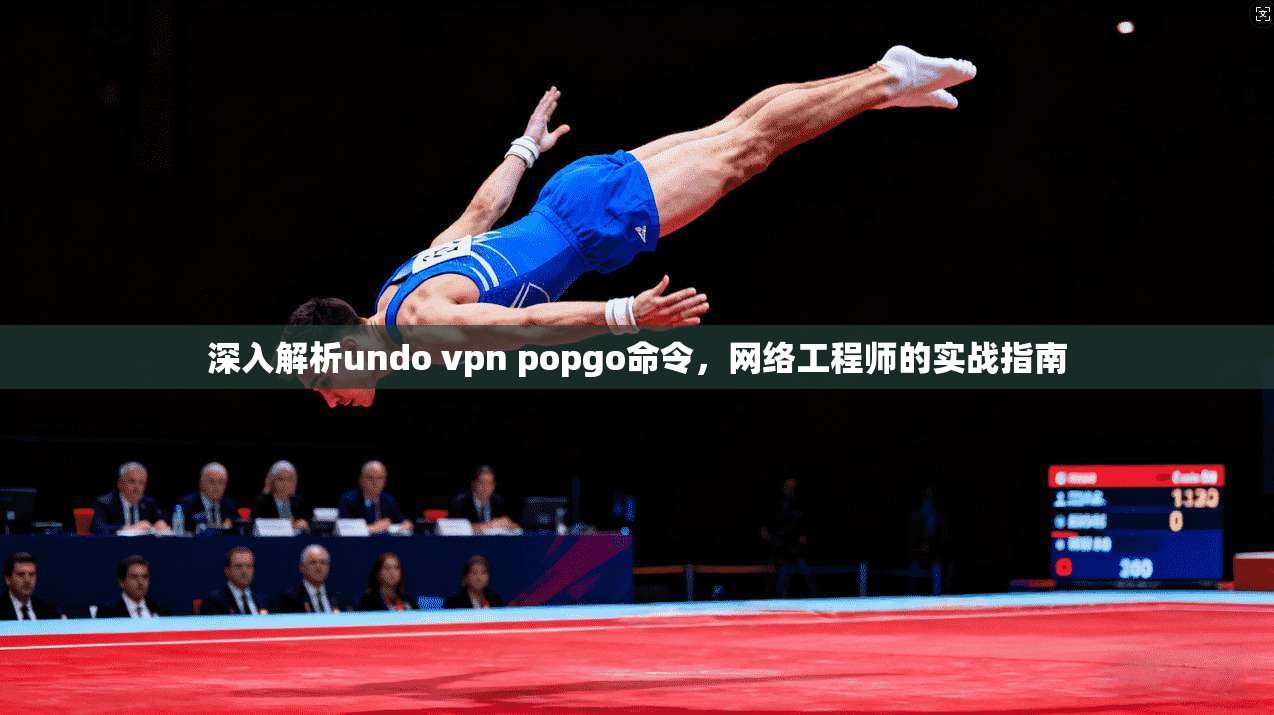 深入解析undo vpn popgo命令，网络工程师的实战指南  第1张