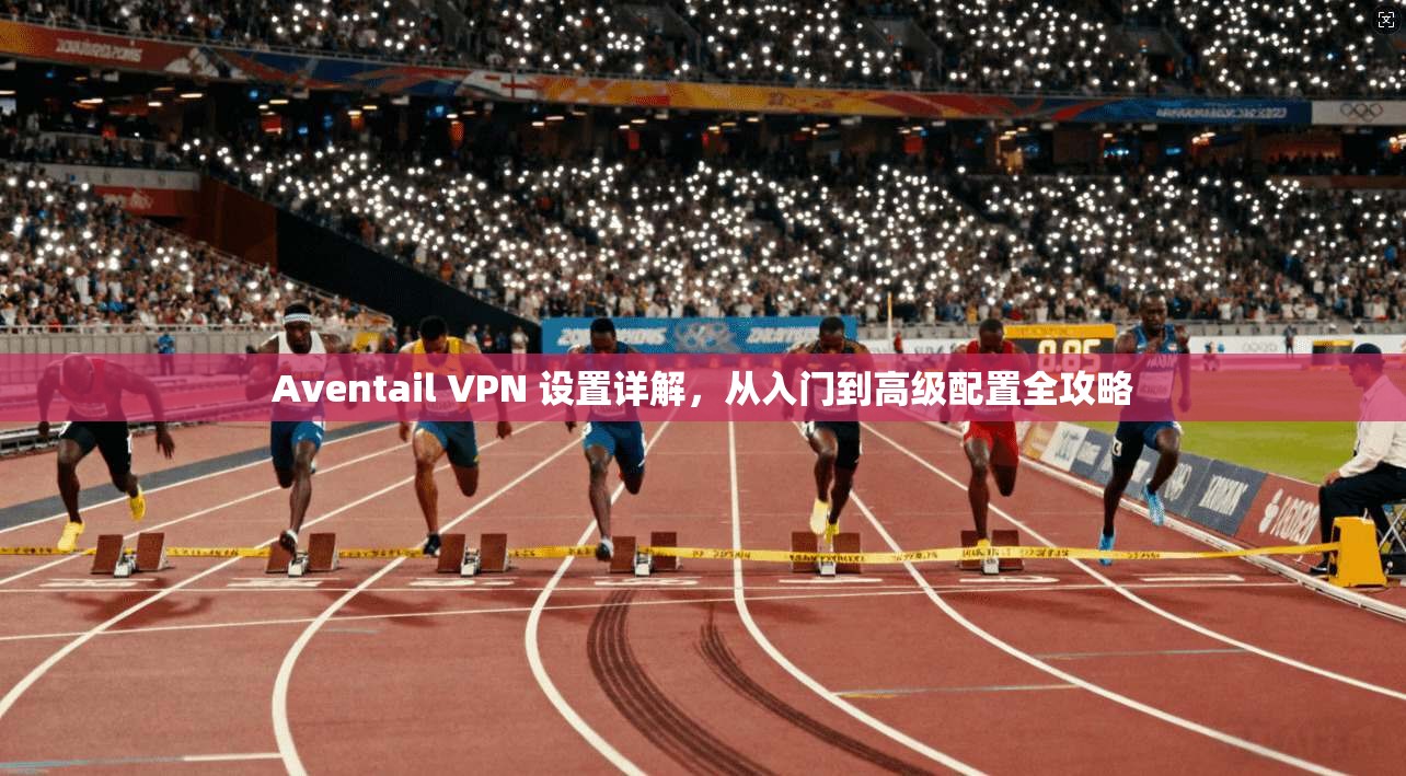 Aventail VPN 设置详解，从入门到高级配置全攻略  第1张