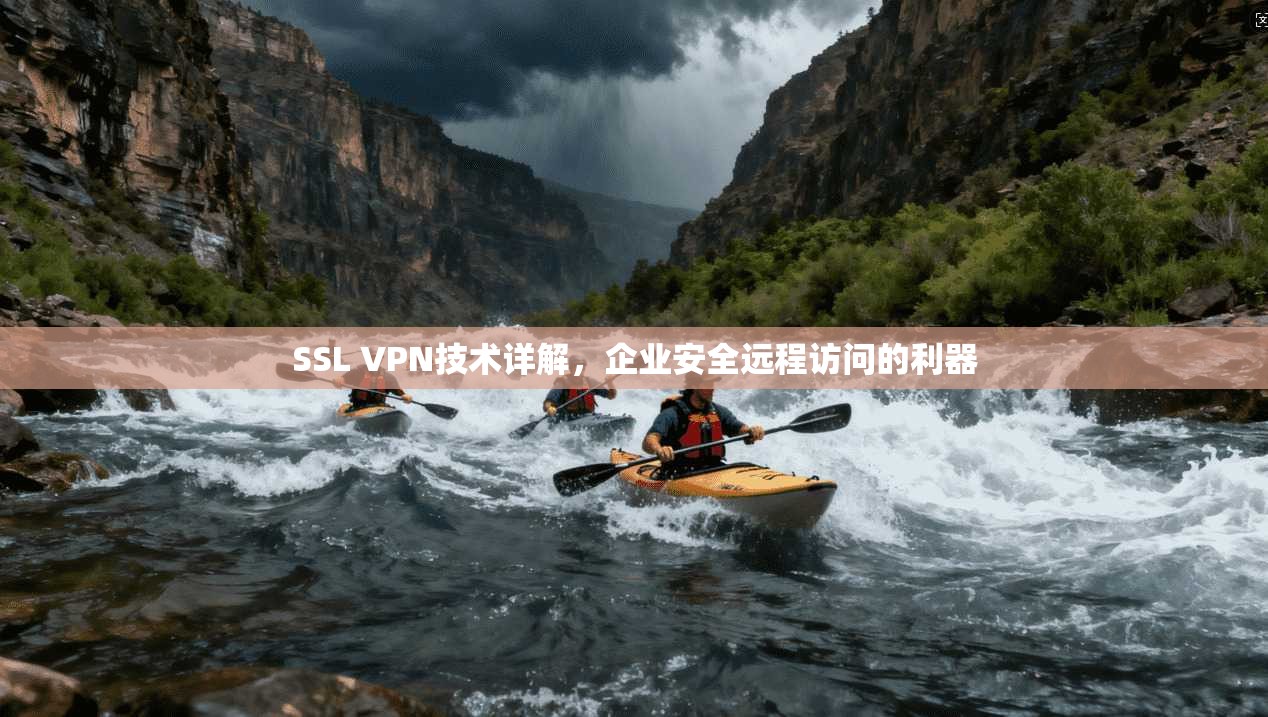 SSL VPN技术详解，企业安全远程访问的利器  第1张