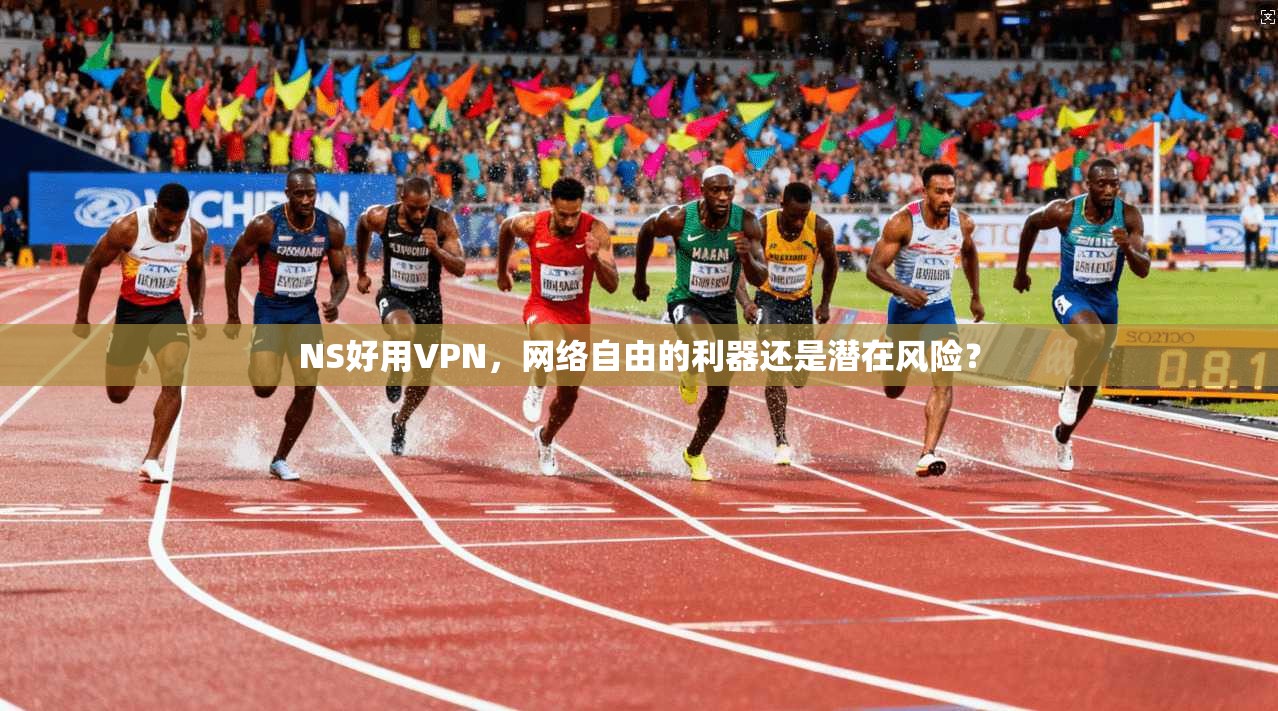 NS好用VPN，网络自由的利器还是潜在风险？  第1张