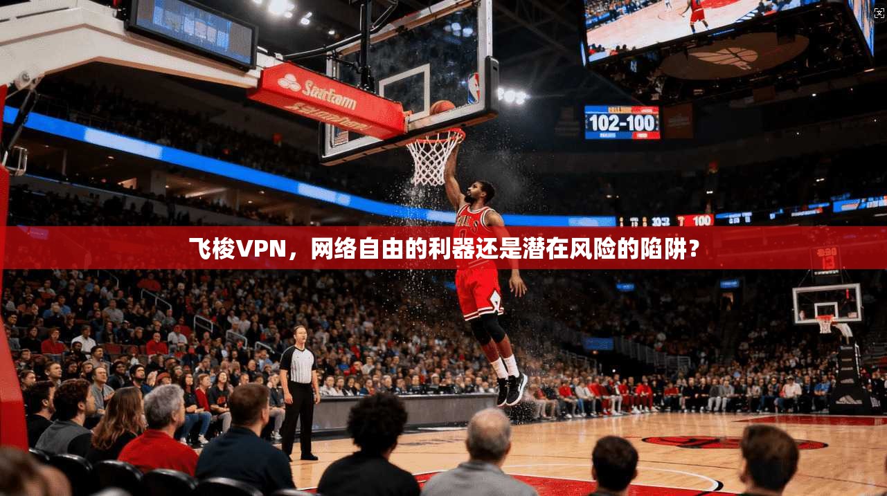 飞梭VPN，网络自由的利器还是潜在风险的陷阱？  第1张