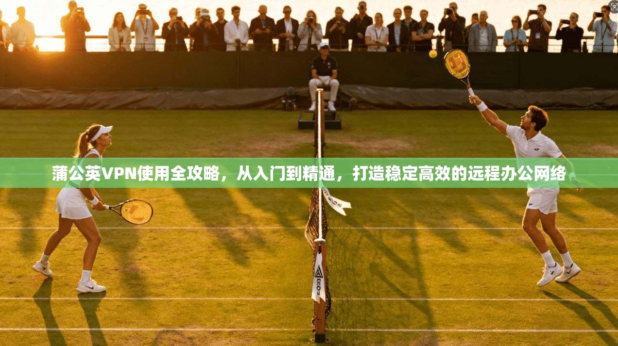 蒲公英VPN使用全攻略，从入门到精通，打造稳定高效的远程办公网络  第1张