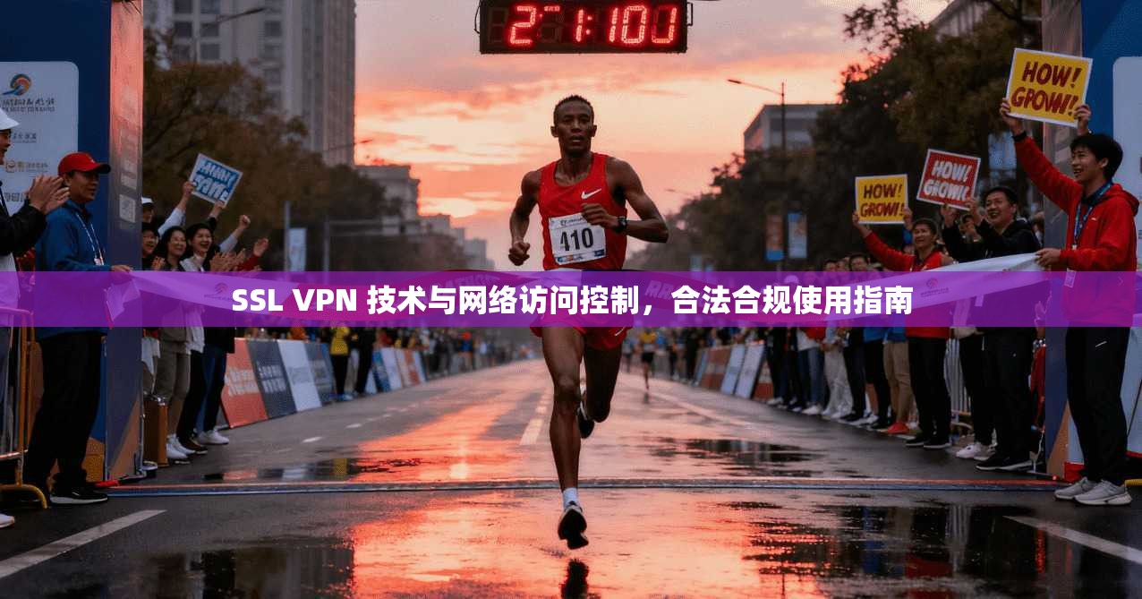 SSL VPN 技术与网络访问控制，合法合规使用指南  第1张