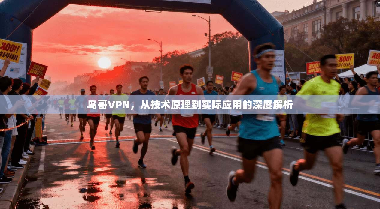 鸟哥VPN，从技术原理到实际应用的深度解析  第1张