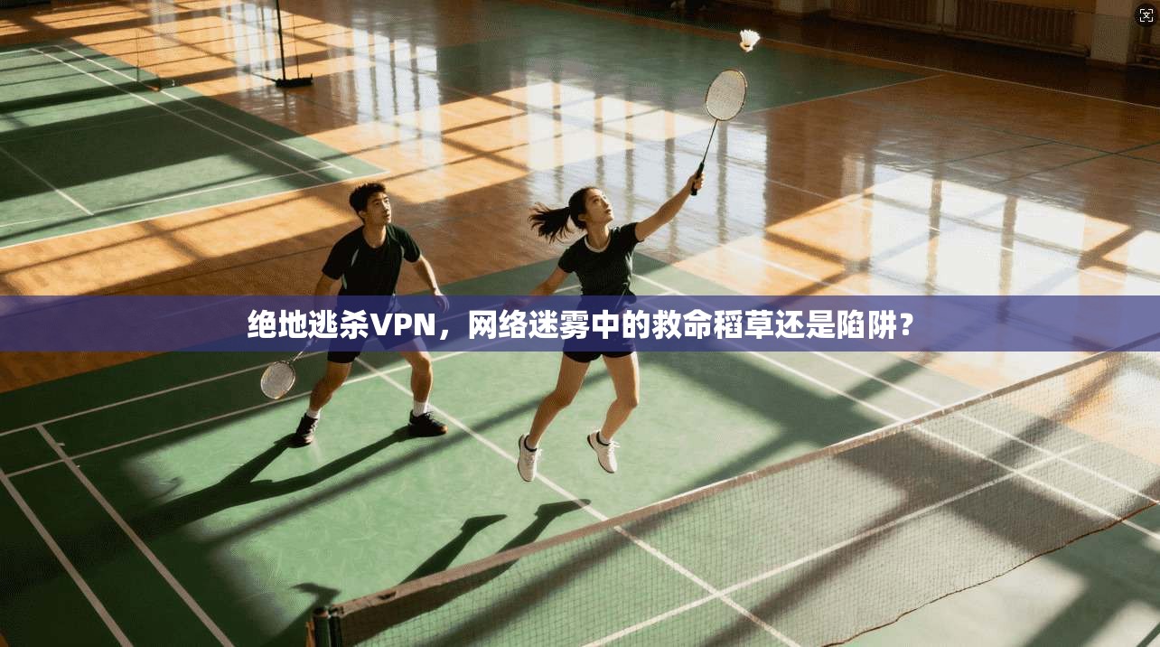 绝地逃杀VPN，网络迷雾中的救命稻草还是陷阱？  第1张