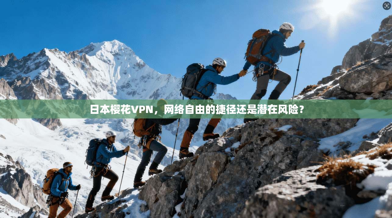 日本樱花VPN，网络自由的捷径还是潜在风险？  第1张