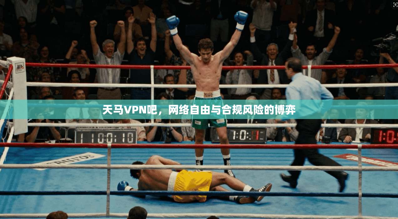 天马VPN吧，网络自由与合规风险的博弈  第1张