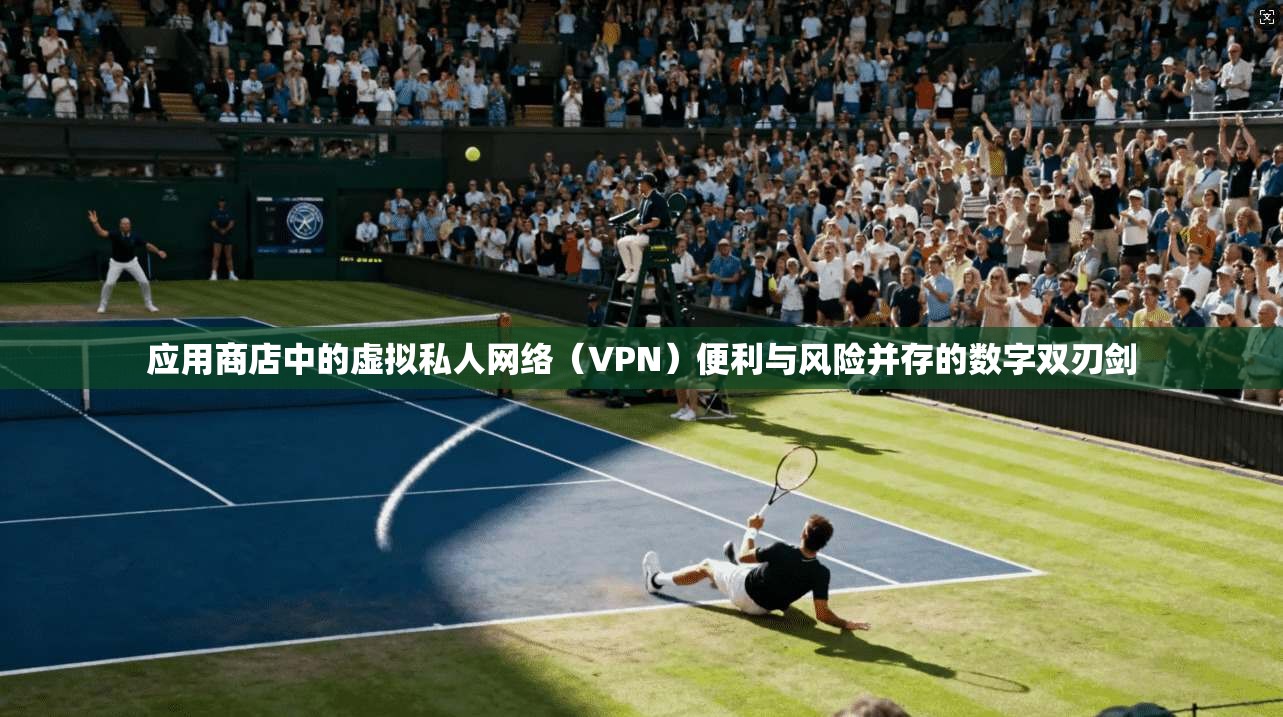 应用商店中的虚拟私人网络（VPN）便利与风险并存的数字双刃剑  第1张