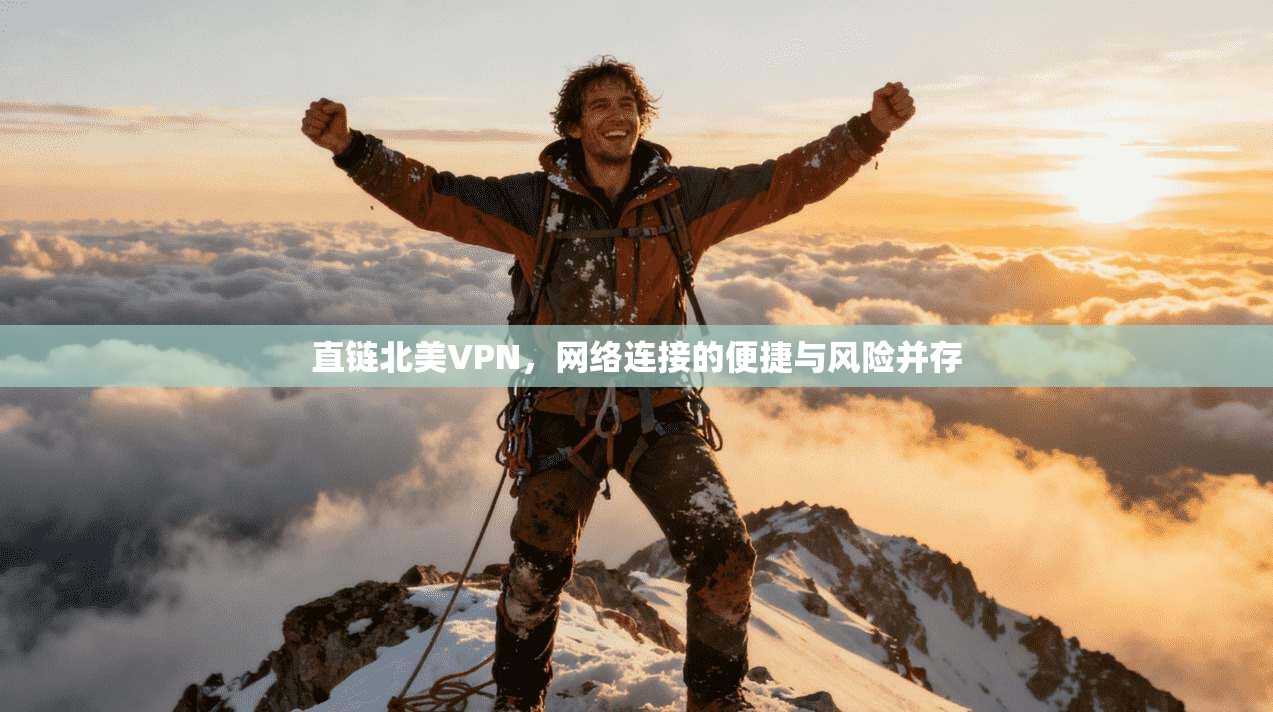 直链北美VPN，网络连接的便捷与风险并存  第1张