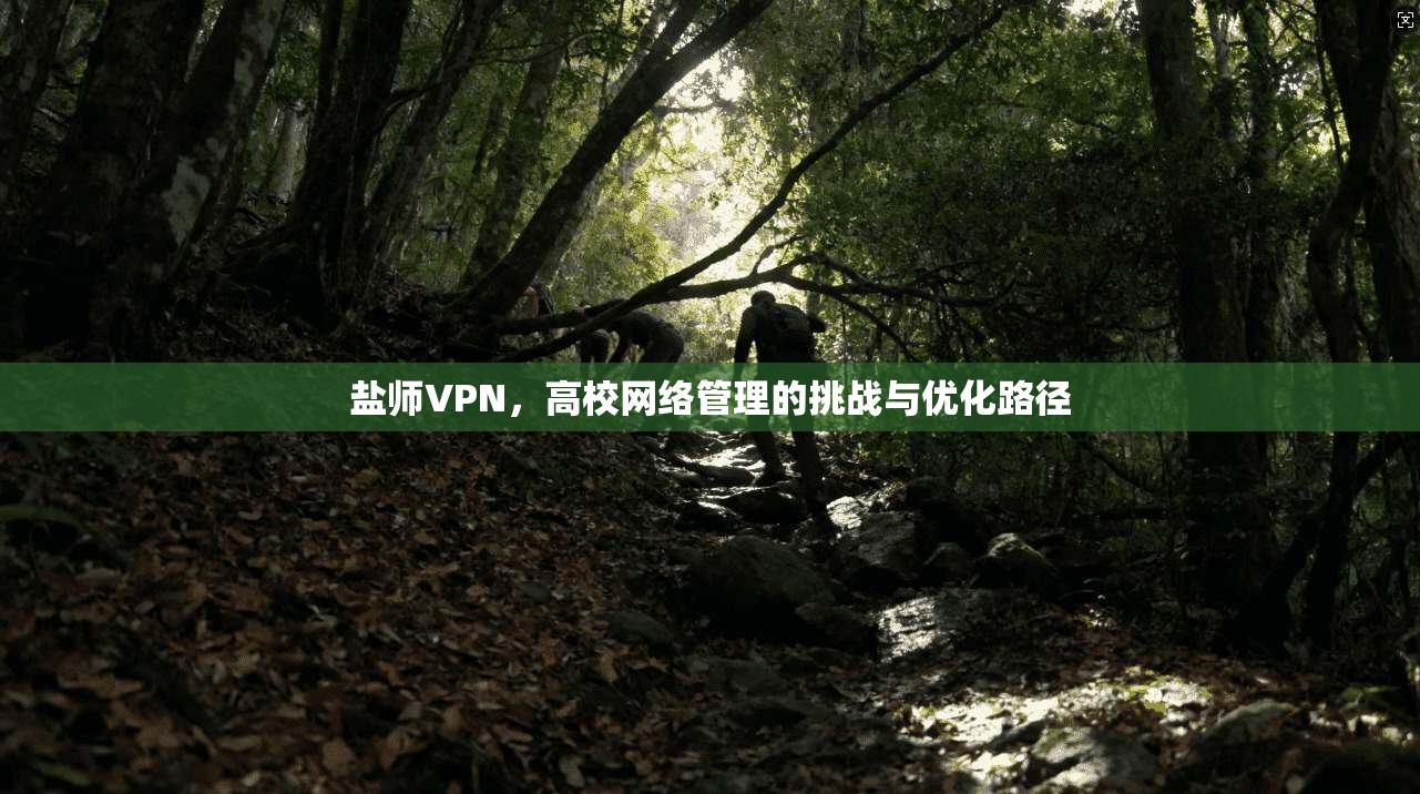盐师VPN，高校网络管理的挑战与优化路径  第1张